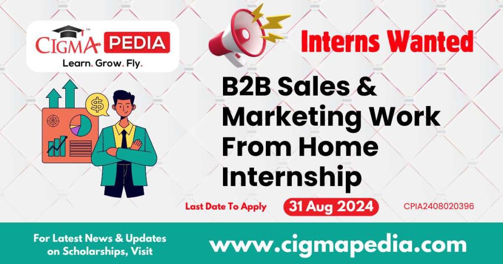 B2B Sales & Marketing Work From Home Internship by Intesome