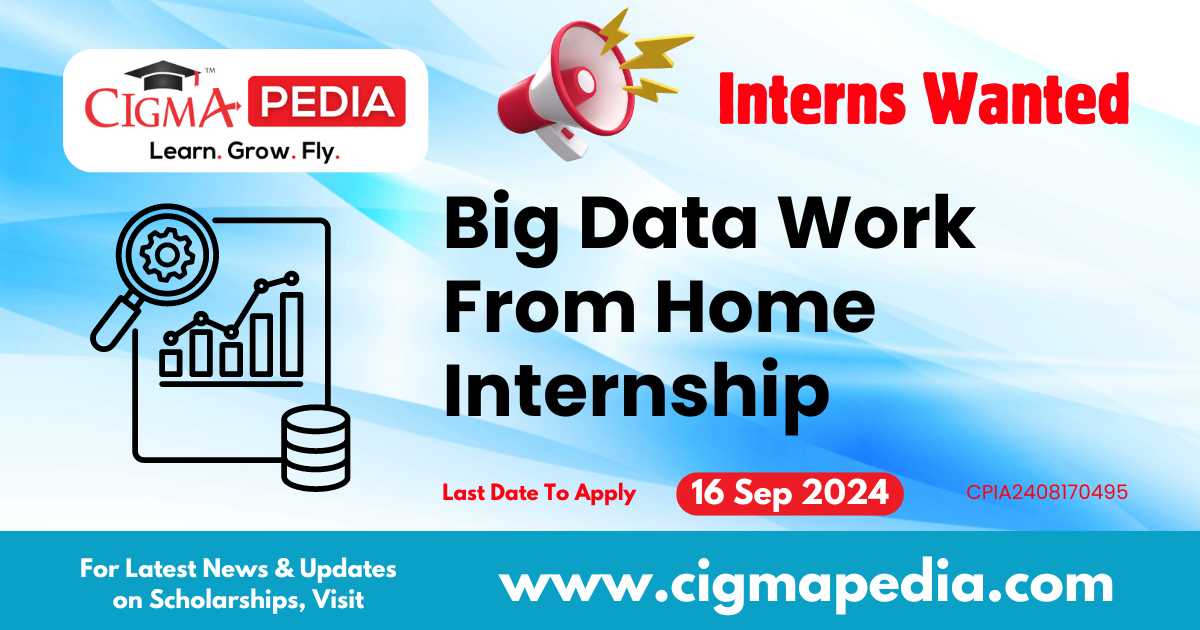 Big Data Work From Home Internship by Request IT Support 2024 : How to ...
