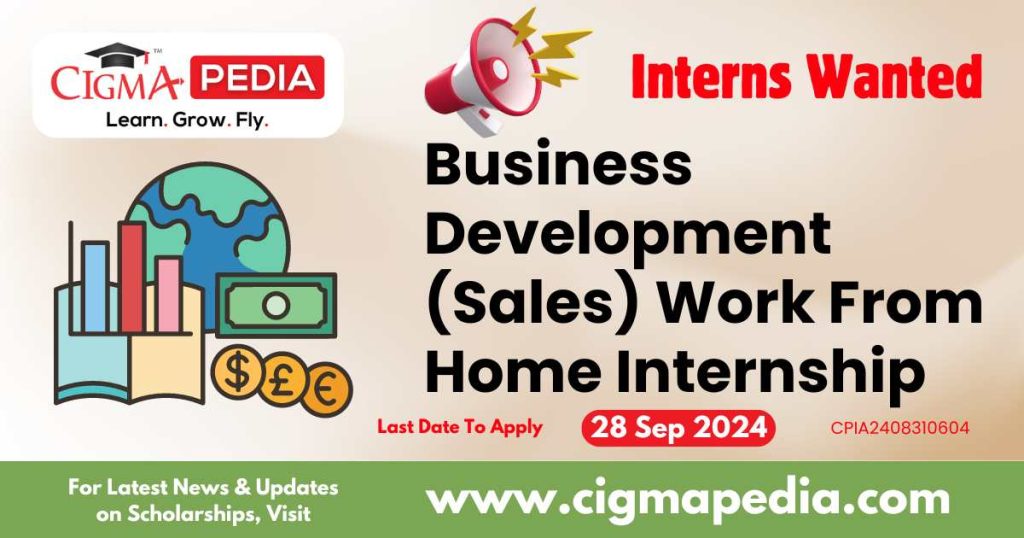 Business Development (Sales) Work From Home Internship