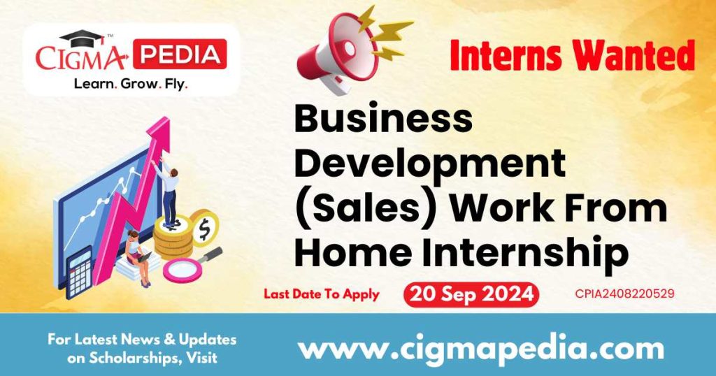 Business Development (Sales) Work From Home Internship