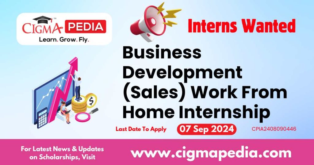 Business Development (Sales) Work From Home Internship by Idea Usher