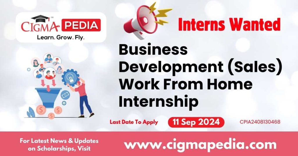 Business Development (Sales) Work From Home Internship by Rydeu Logistics UG