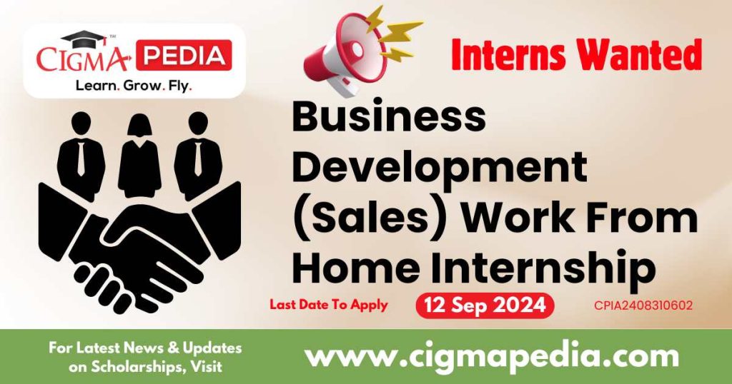 Business Development (Sales) Work From Home Internship