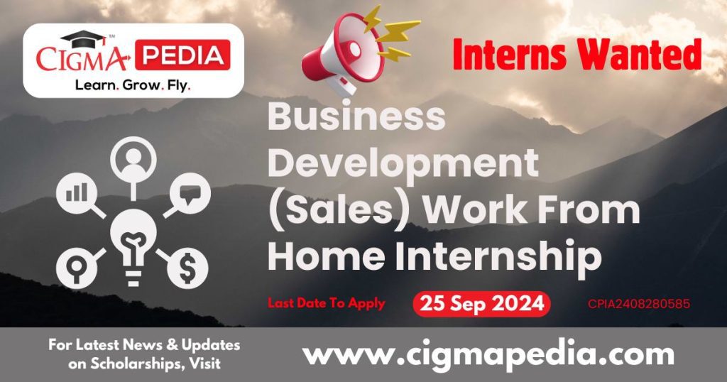 Business Development (Sales) Work From Home Internship by Idea Usher