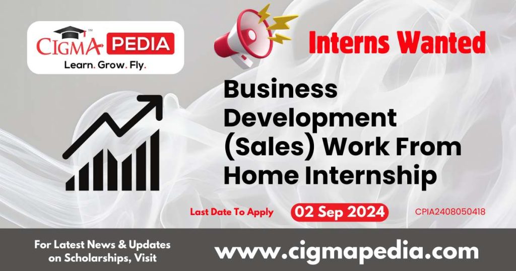 Business Development (Sales) Work From Home Internship by The Learning Buddy 2024