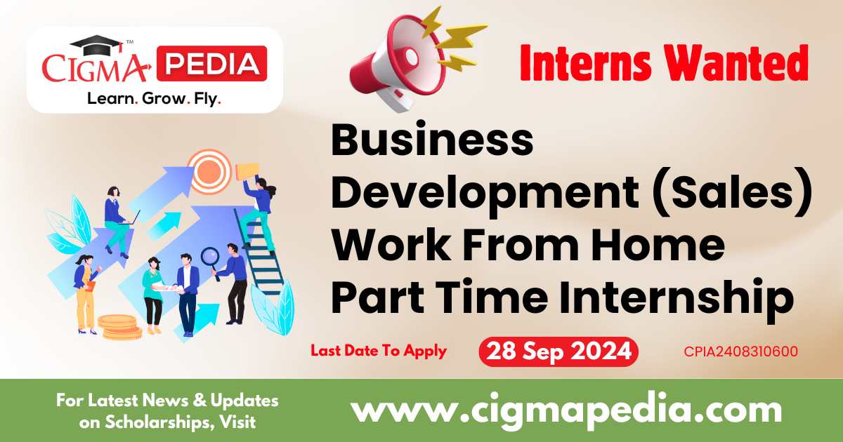 Business Development Sales Work From Home Part Time Internship By