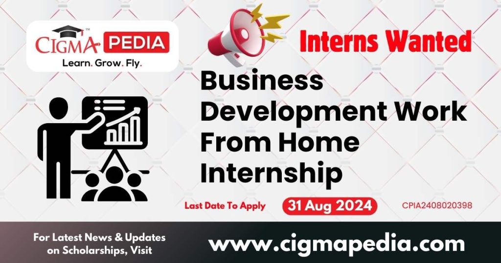 Business Development Work From Home Internship by Intesome 2024