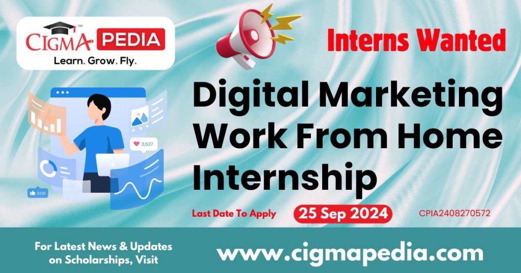 Digital Marketing Work From Home Internship