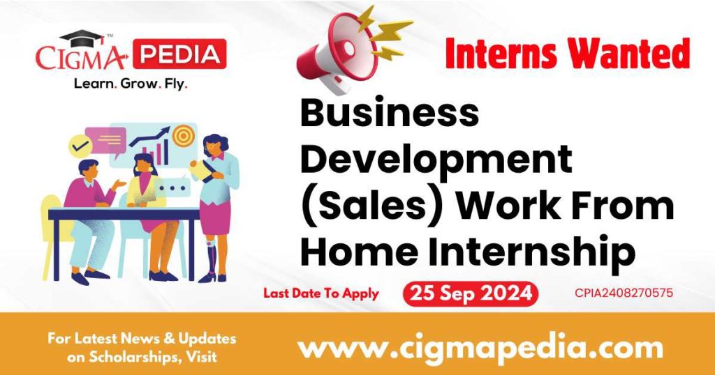 Business Development (Sales) Work From Home Internship