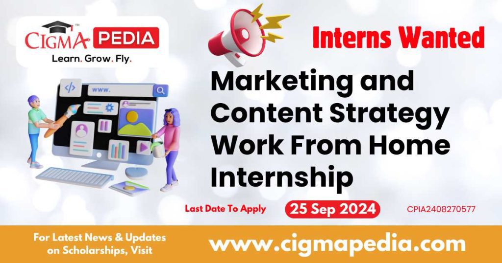 Marketing and Content Strategy Work From Home Internship