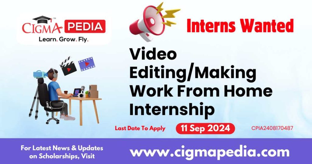 Video Editing/Making Work From Home Internship by Bollygrad Studioz