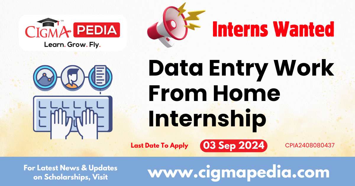 Data Entry Work From Home Internship by Aero Link 2024 : How to Apply ...