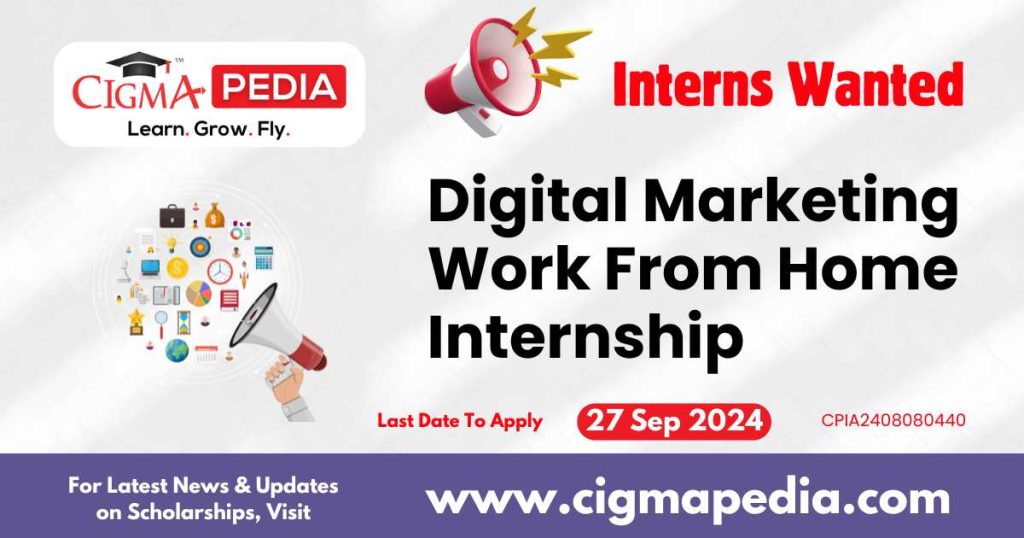 Digital Marketing Work From Home Internship by Salaar Media