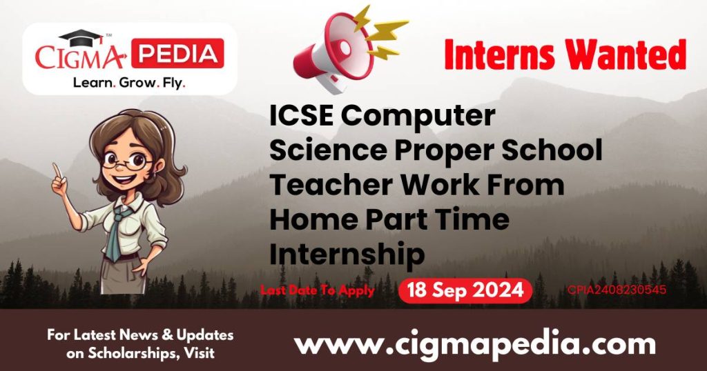 ICSE Computer Science Proper School Teacher Work From Home Part Time Internship by Narigiri's Connect To Universe Private Limited