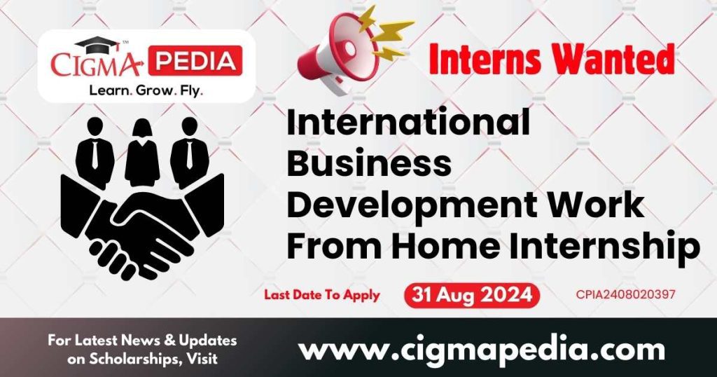 International Business Development Work From Home Internship by Intesome