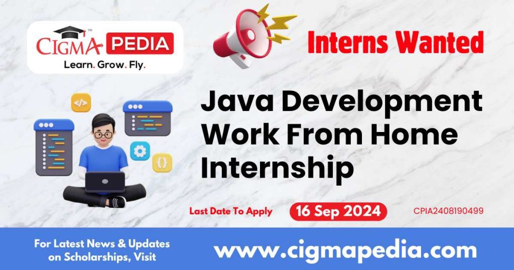 Java Development Work From Home Internship by Request IT Support