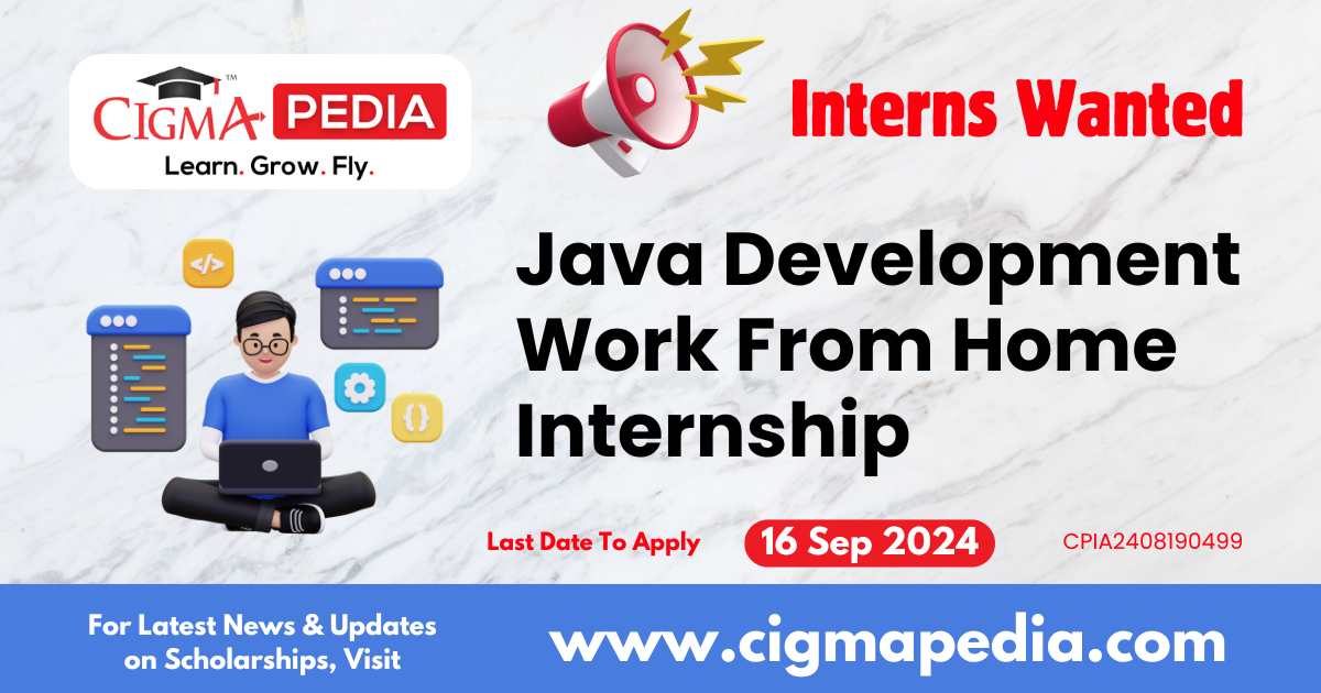 Java Development Work From Home Internship by Request IT Support 2024 ...
