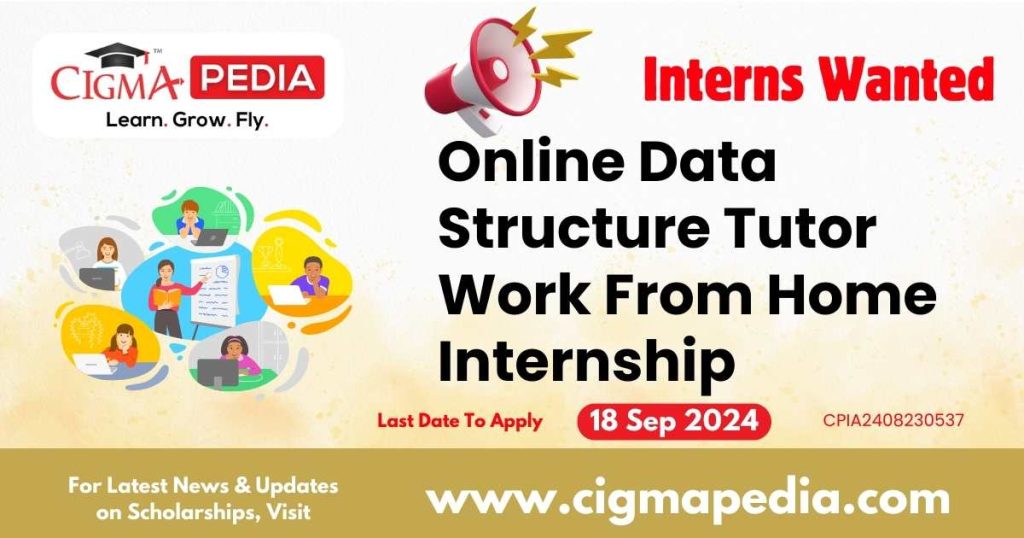 Online Data Structure Tutor Work From Home Internship