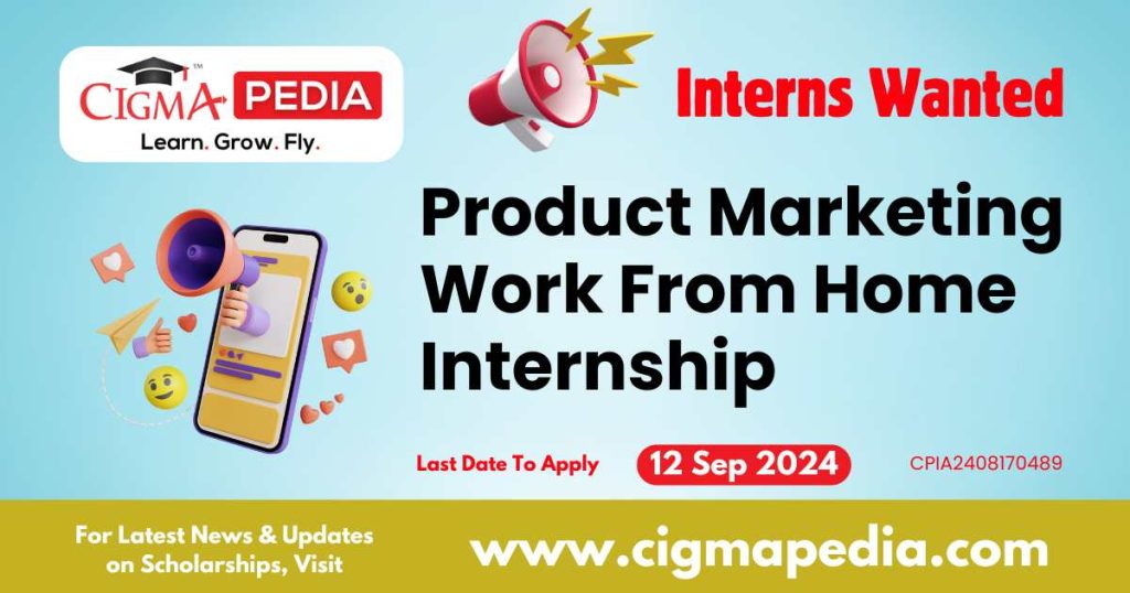 Product Marketing Work From Home Internship by Gigde Global Solutions Private Limited