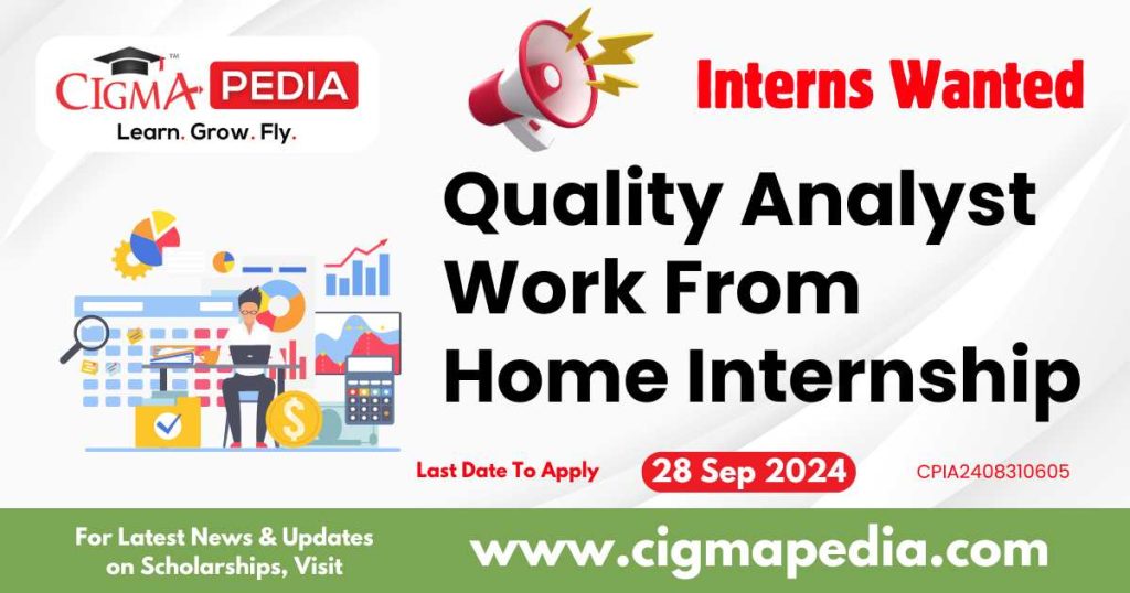 Quality Analyst Work From Home Internship