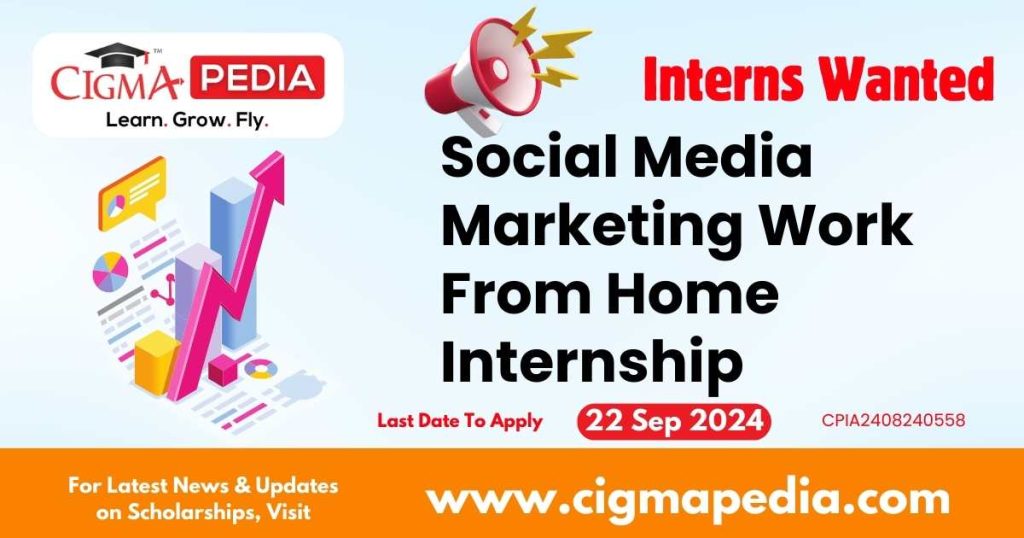 Social Media Marketing Work From Home Internship