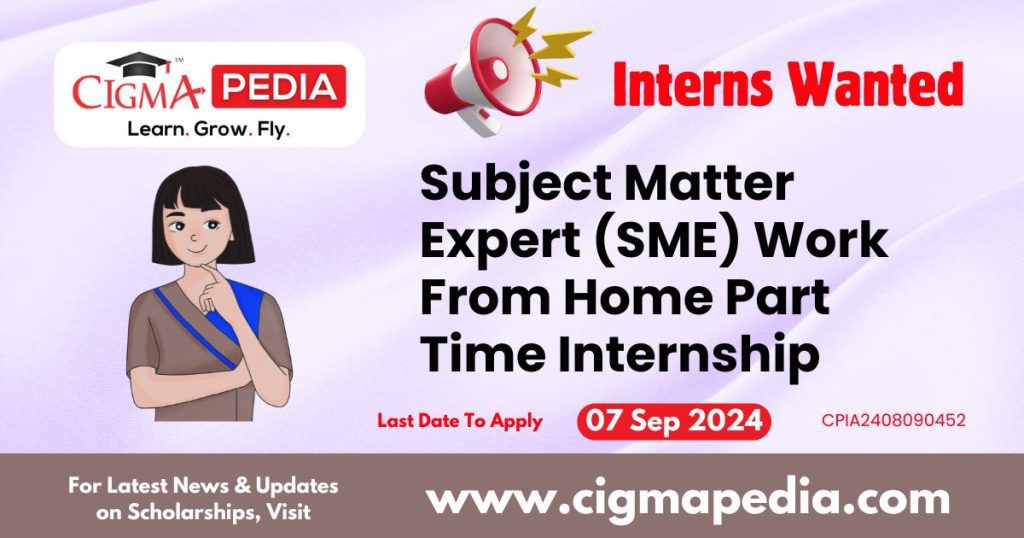 Subject Matter Expert (SME) Work From Home Part Time Internship by LearnAsYouGo