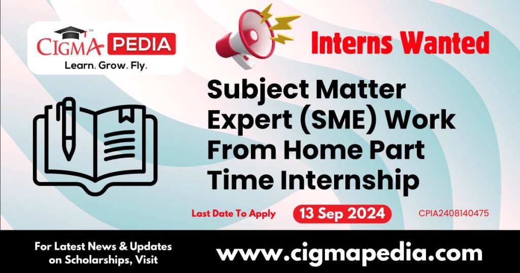 Subject Matter Expert (SME) Work From Home Part Time Internship by MyMegaminds