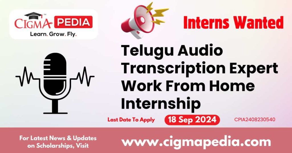 Telugu Audio Transcription Expert Work From Home Internship