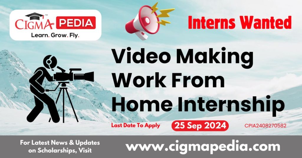 Video Making Work From Home Internship by Celebrare