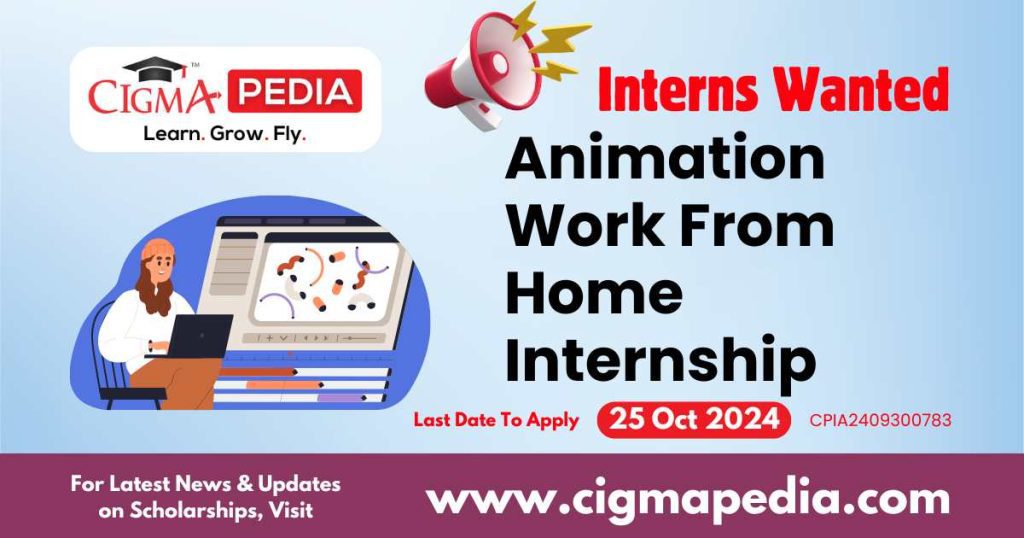 Animation Work From Home Internship