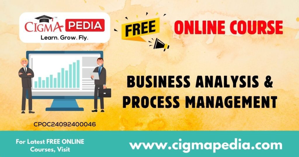 Business Analysis & Process Management