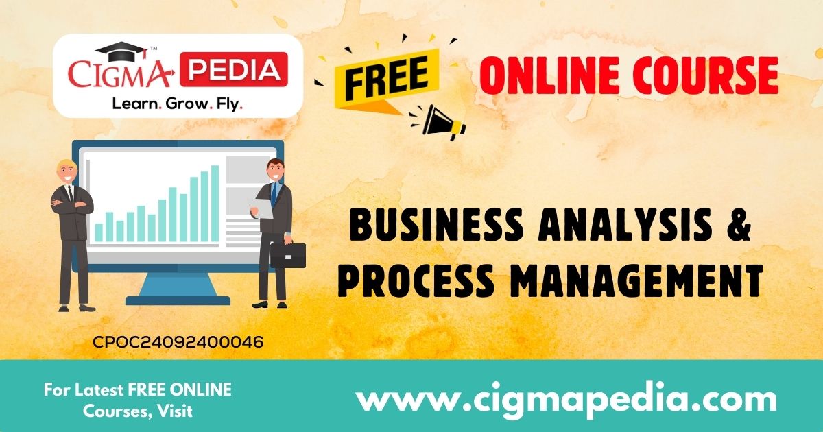 Business Analysis & Process Management