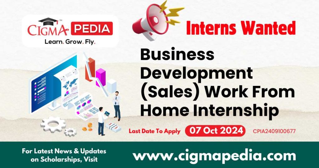 Business Development (Sales) Work From Home Internship