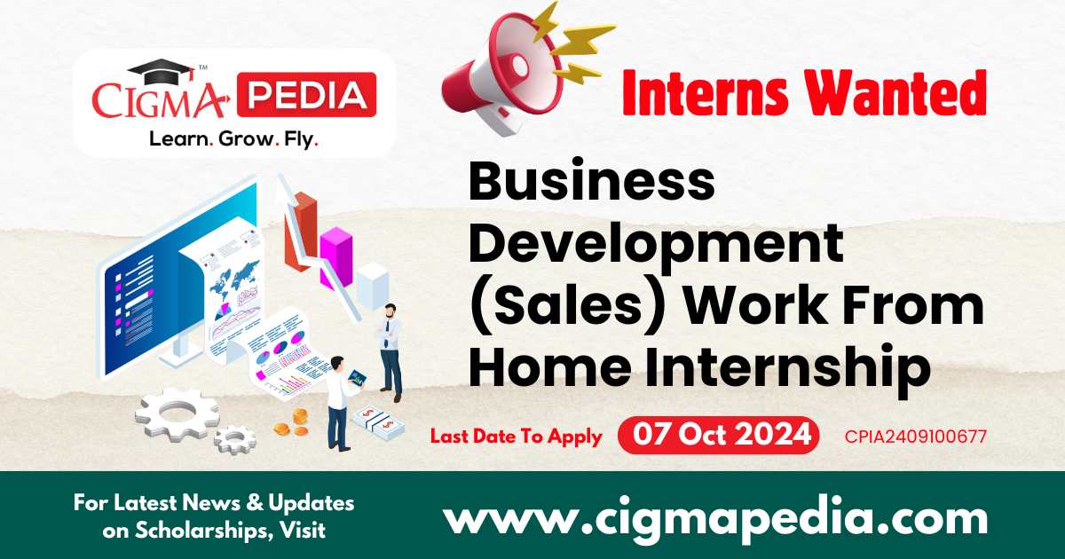 Business Development (Sales) Work From Home Internship