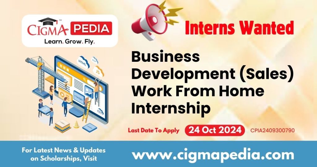 Business Development (Sales) Work From Home Internship