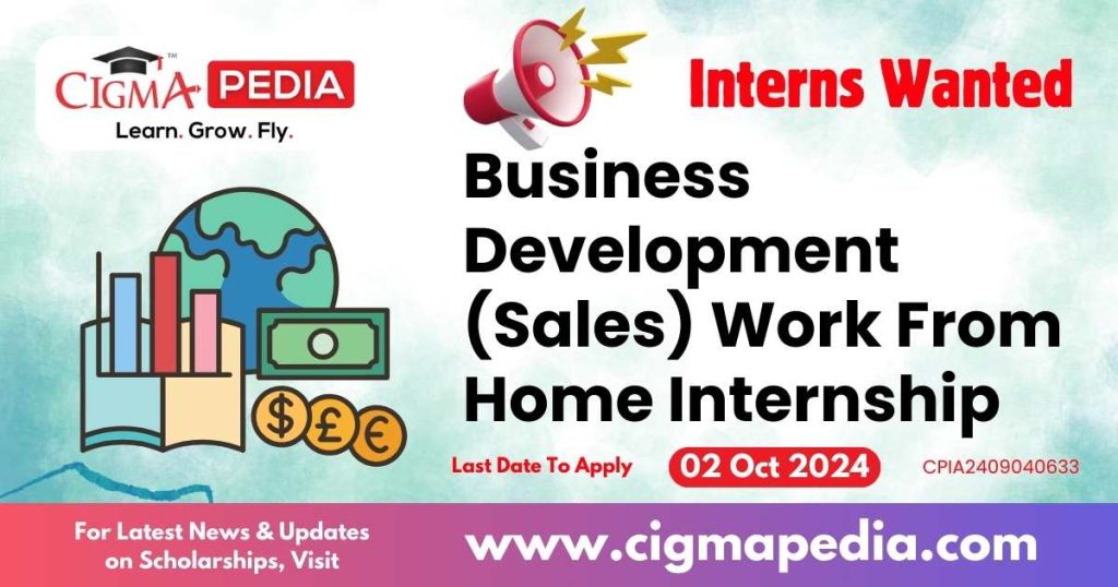 Business Development (Sales) Work From Home Internship