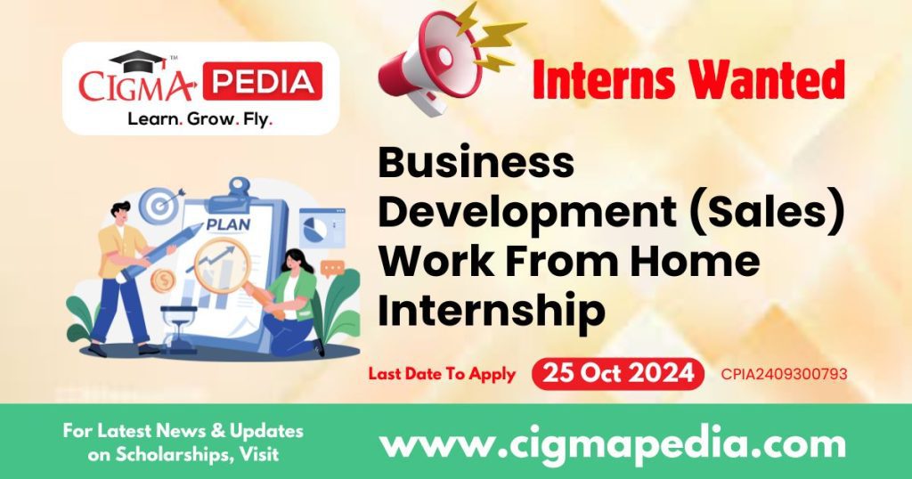 Business Development (Sales) Work From Home Internship