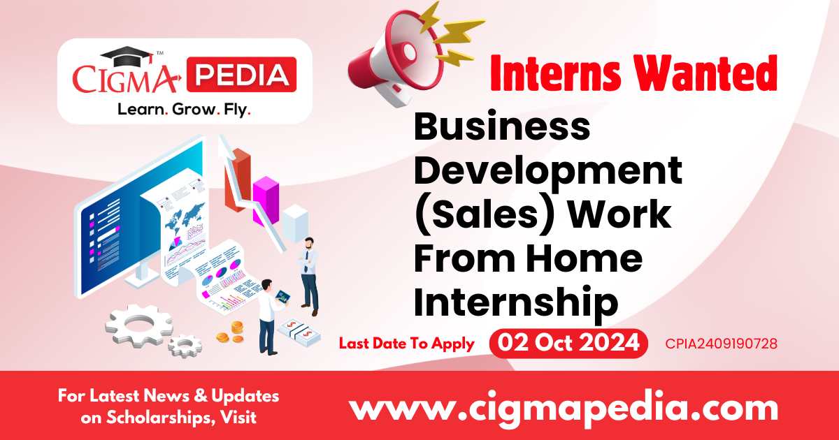 Business Development (Sales) Work From Home Internship