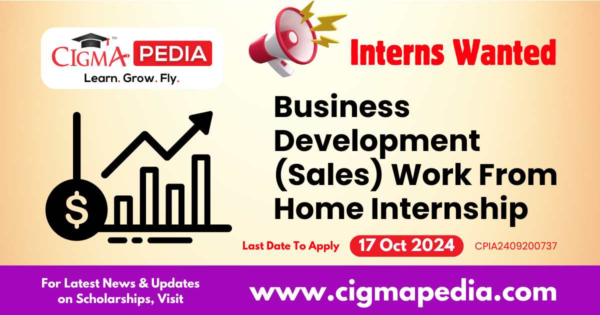 Business Development (Sales) Work From Home Internship