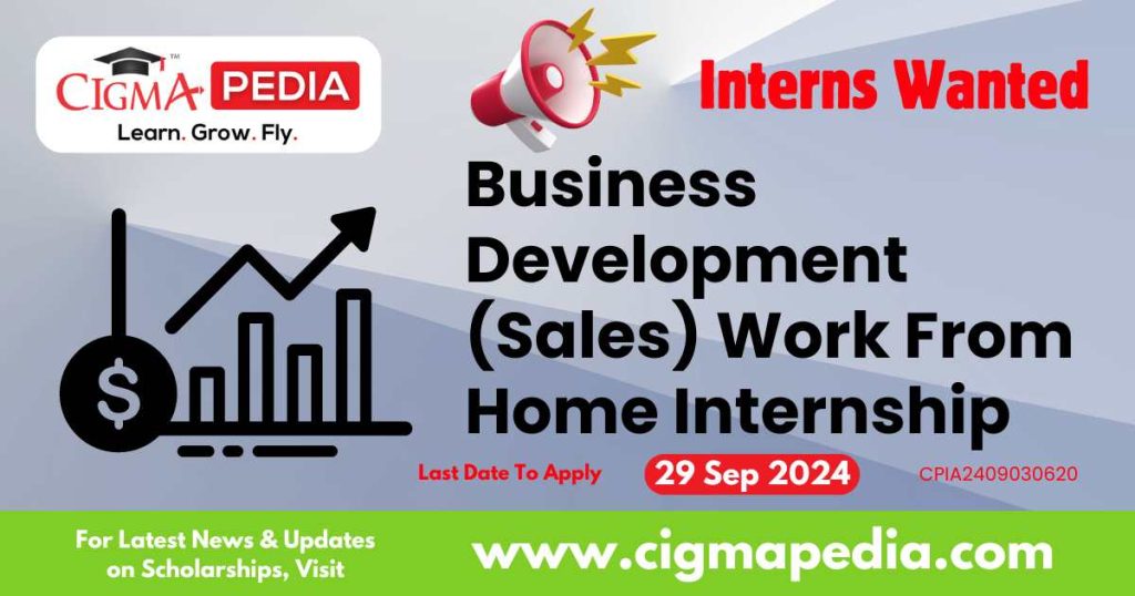 Business Development (Sales) Work From Home Internship