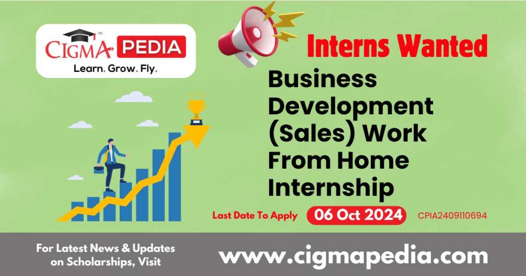 Business Development (Sales) Work From Home Internship