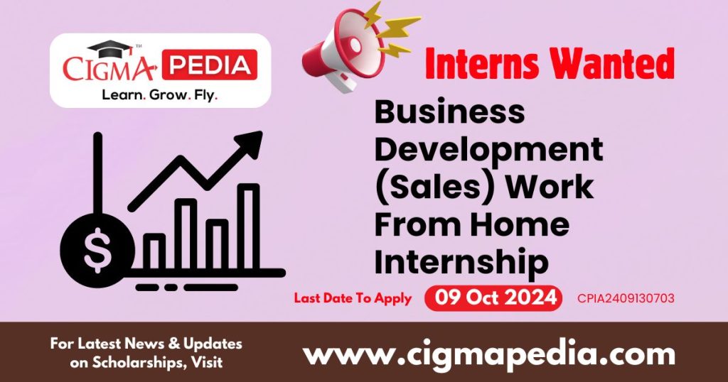 Business Development (Sales) Work From Home Internship