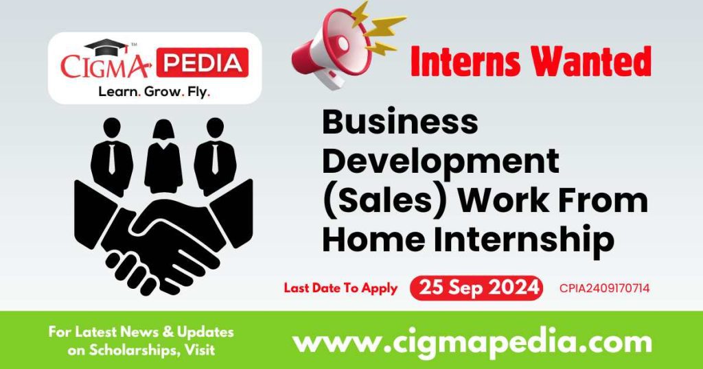 Business Development (Sales) Work From Home Internship