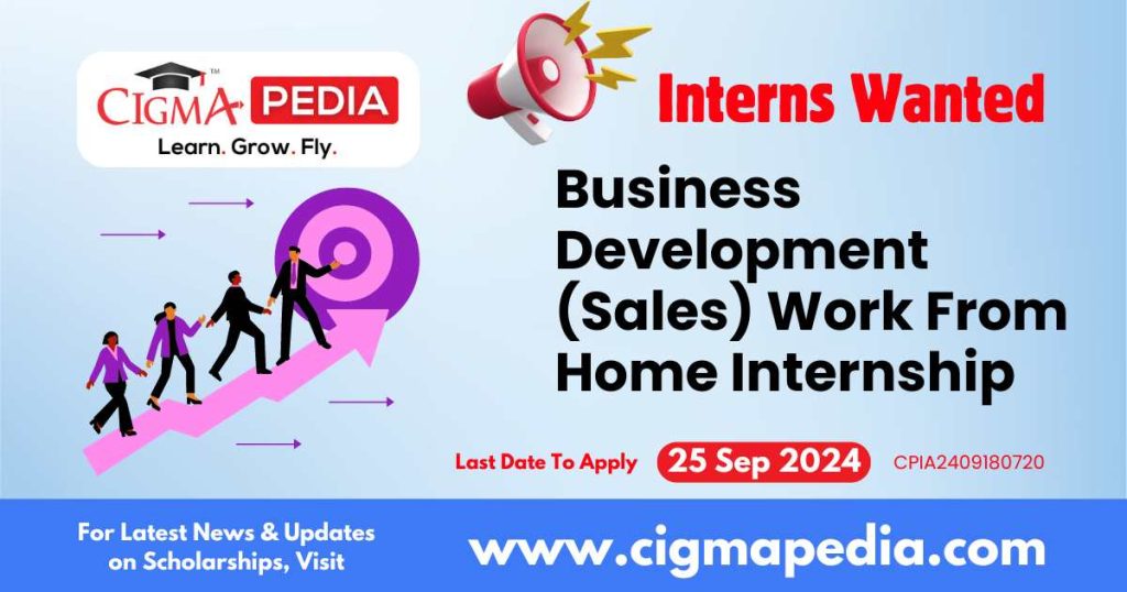 Business Development (Sales) Work From Home Internship