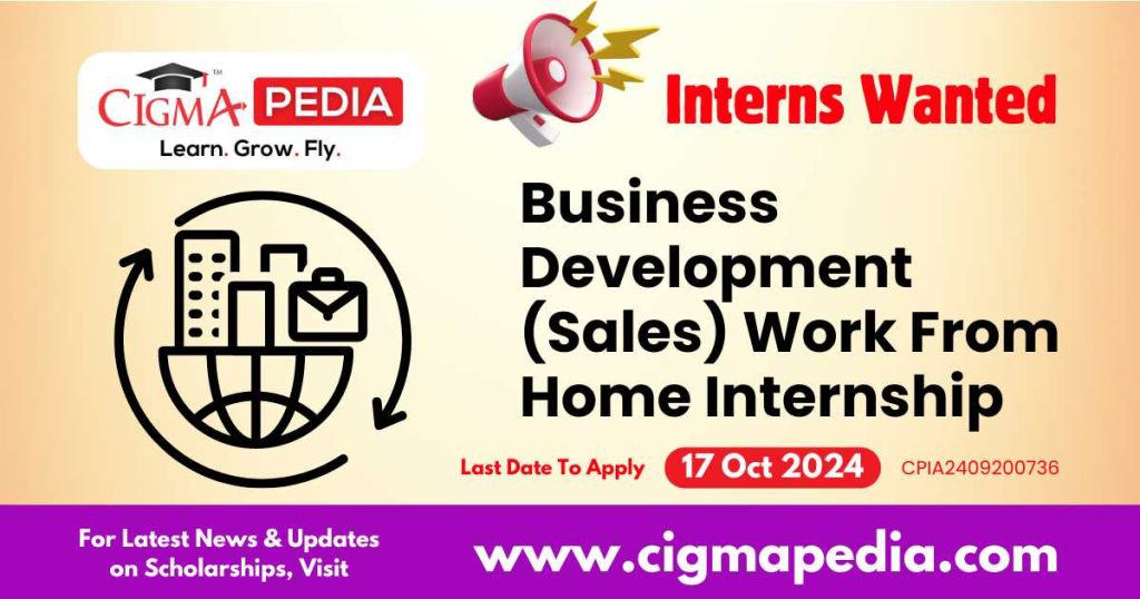 Business Development (Sales) Work From Home Internship