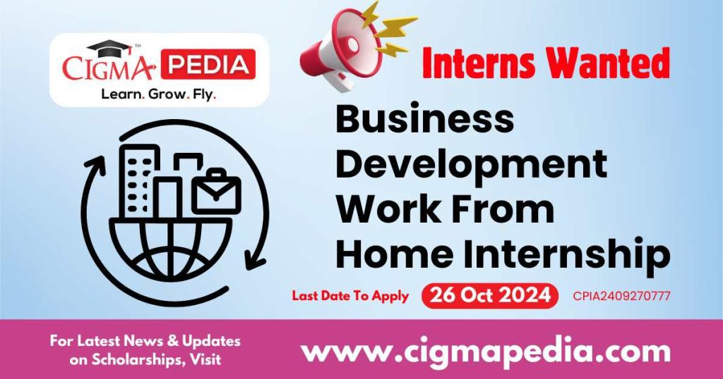 Business Development Work From Home Internship