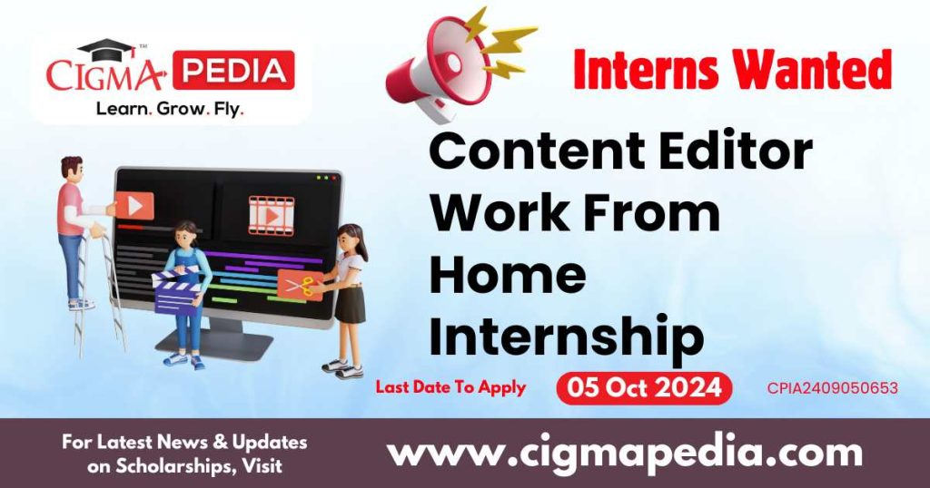 Content Editor Work From Home Internship