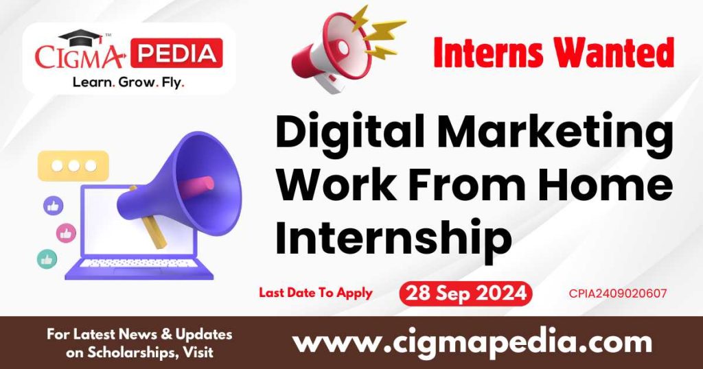 Digital Marketing Work From Home Internship