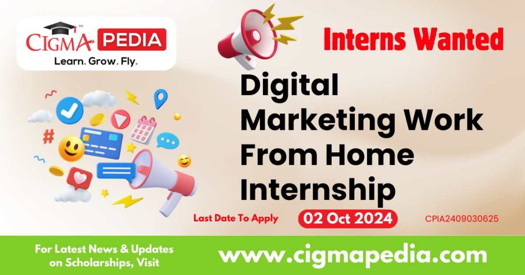 Digital Marketing Work From Home Internship