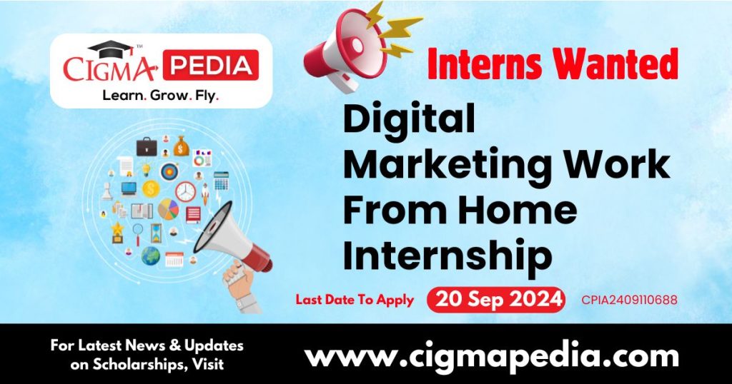 Digital Marketing Work From Home Internship